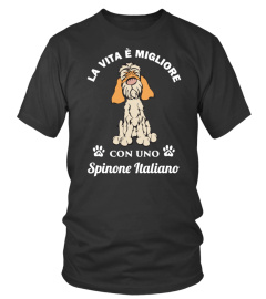 Lo Spinone Italiano