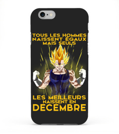 VEGETA - DECEMBRE