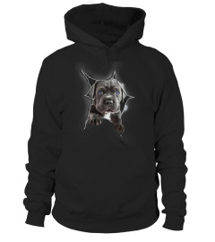 Cane Corso 3D