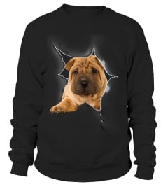 Shar Pei 3D