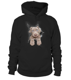 Weimaraner 3D