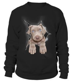 Weimaraner 3D