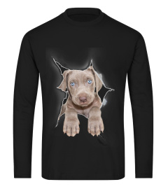 Weimaraner 3D