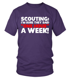 Scouting One Hour A Week