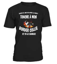 touche à mon: Border Collie