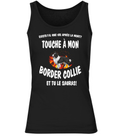 touche à mon: Border Collie