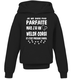 Parfaite: J'ai un WELSH CORGI
