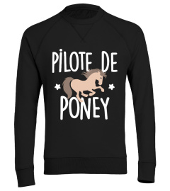 Cheval - Pilote de poney