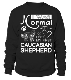 Caucasian Shepherd 5 TShirt