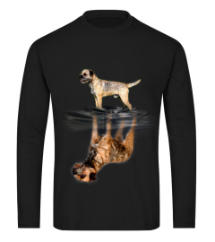 Border Terrier