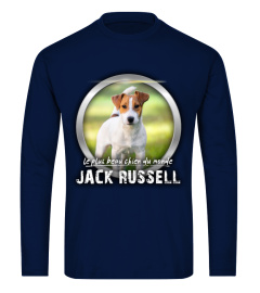 beau chien du monde: JACK RUSSELL