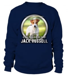 beau chien du monde: JACK RUSSELL