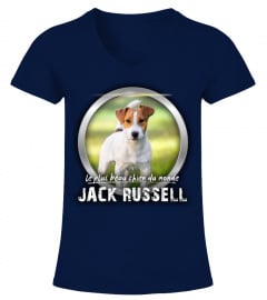 beau chien du monde: JACK RUSSELL