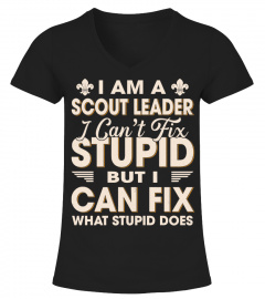 I'm A Scout Leader I Can't Fix Stupid