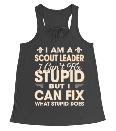 I'm A Scout Leader I Can't Fix Stupid