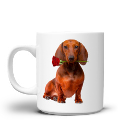 Dachshund Brown With a Rose