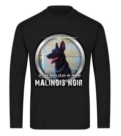 beau chien du monde: MALINOIS NOIR