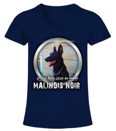 beau chien du monde: MALINOIS NOIR