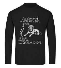 Labrador- Limited Edition