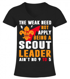 Being A Scout Leader Ain't No 9 To 5