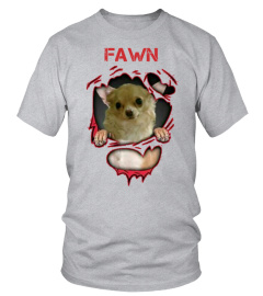 FAWN T