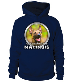 le plus beau chien du monde: MALINOIS