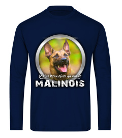 le plus beau chien du monde: MALINOIS