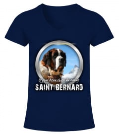 beau chien du monde: SAINT-BERNARD