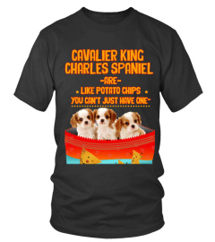 Cavalier King Charles Spaniel