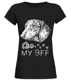 Dachshund BFF