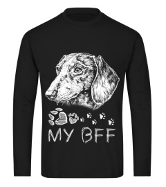 Dachshund BFF