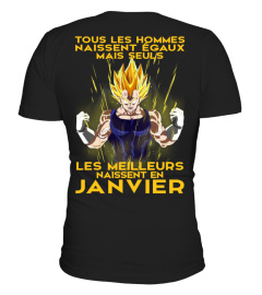 VEGETA-JANVIER