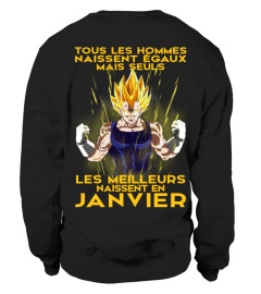 VEGETA-JANVIER