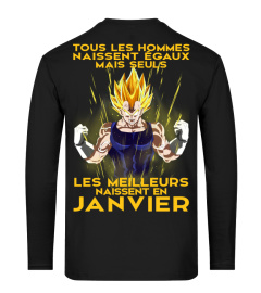 VEGETA-JANVIER