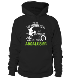 Echte Hexen reiten Andalusier!
