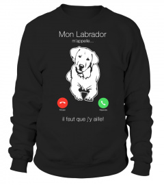 Mon Labrador m'appelle...