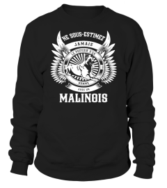 MALINOIS - HOMME