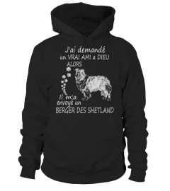 Berger des Shetland- Limited Edition