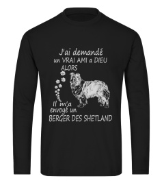 Berger des Shetland- Limited Edition