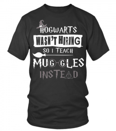Hogwarts wasn't hiring so i teach muggles instead shirt funny