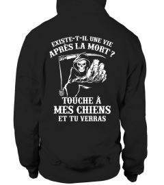 Touche à mes Chiens et tu Verras