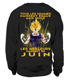 VEGETA-JUIN