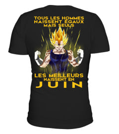 VEGETA-JUIN