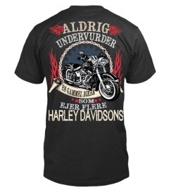 BIKER - HARLEY DAVIDSON