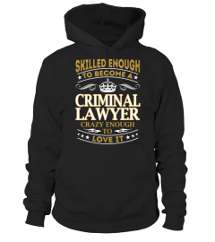 Criminal Lawyer - Skilled Enough