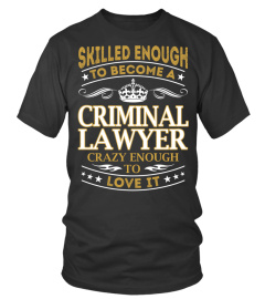 Criminal Lawyer - Skilled Enough