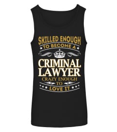 Criminal Lawyer - Skilled Enough