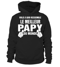 VOILA A QUOI RESSEMBLE LE MEILLEUR PAPY DU MONDE T SHIRT