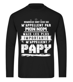 PAPY