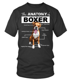 ANATOMY BOXER DOG